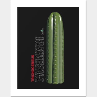 Trichocereus Pachanoi with Text Posters and Art